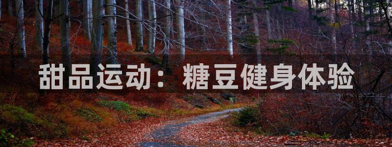 龙8国际害死多少人