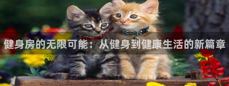 龙8老虎机手机版
