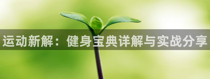 龙 八国际