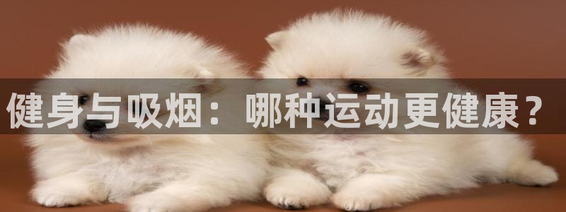 龙8国际怎么样
