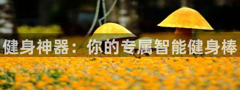 龙8国际手机游戏官网版