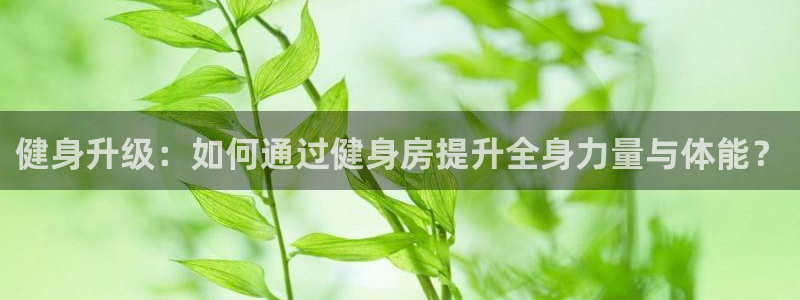 龙8国际官方网站手机版