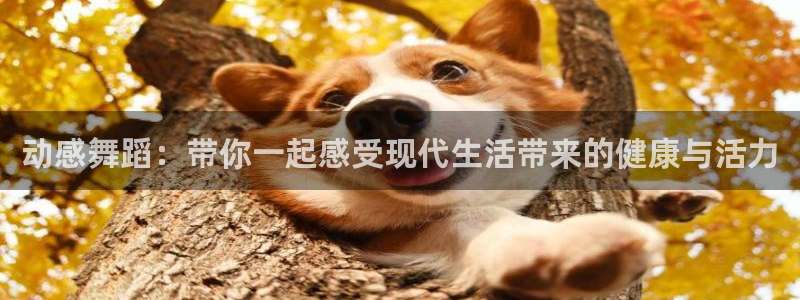 龙8官网在线试玩