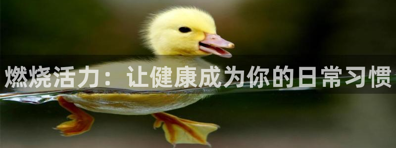 龙8游戏官方网站p
