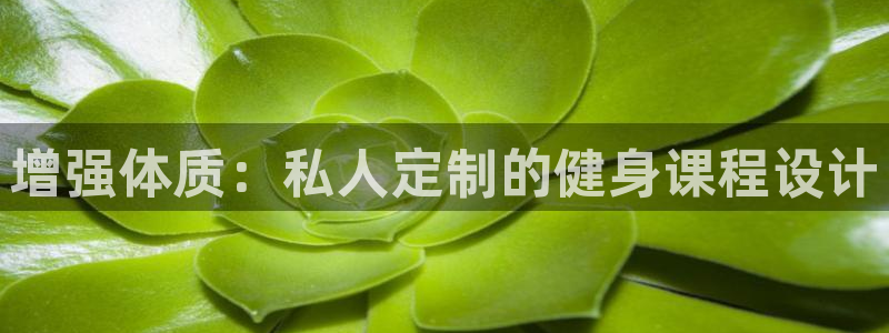 龙8国际app官网下载