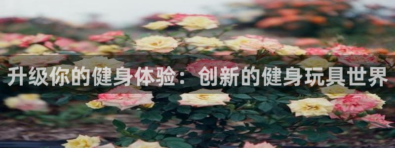 龙8国际唯一官网