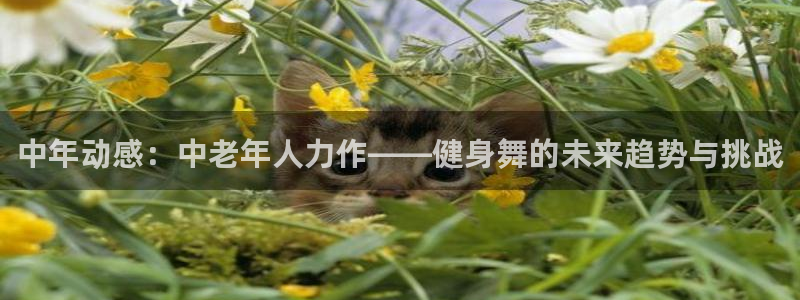 龙8娱乐官方老虎机中国大陆