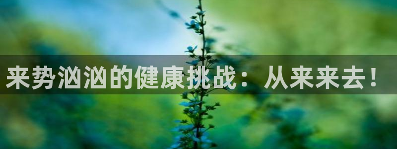 龙8网页版登录入口