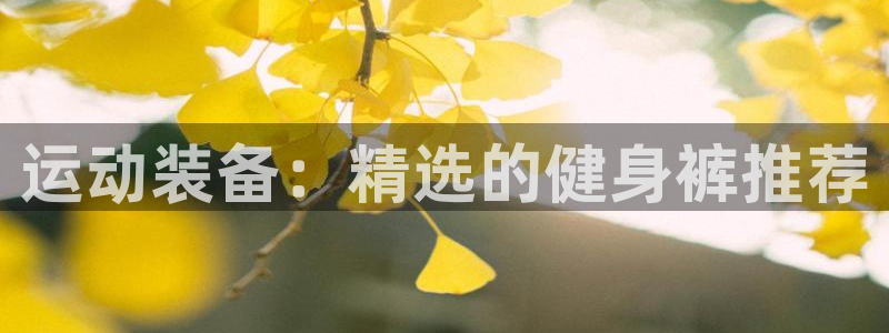 龙8国际唯一官网登录口