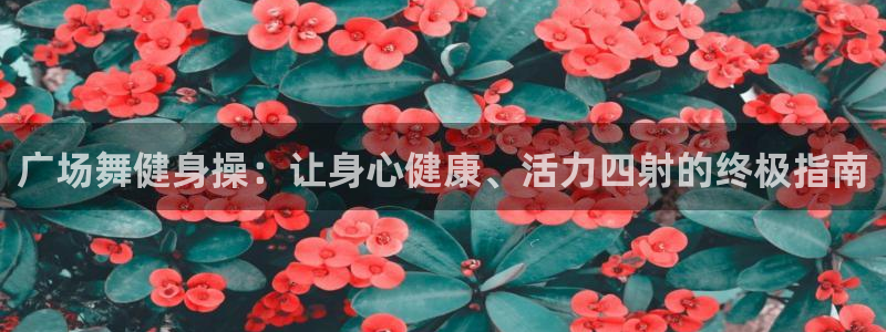 龙8国际网址多少