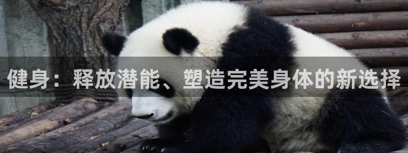 龙8国际老虎机官网