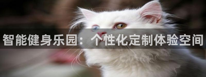 龙8国际唯一登录地址