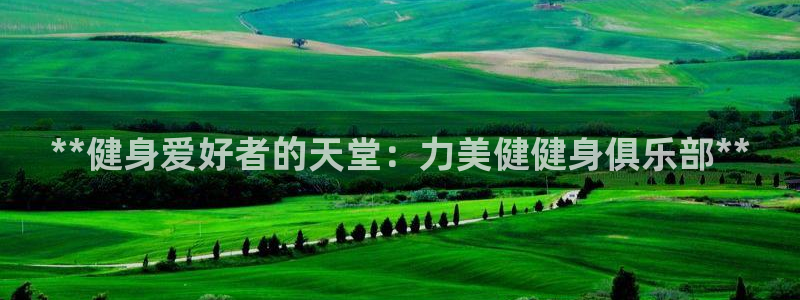 龙八国际官方网站app登录